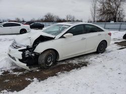 Salvage cars for sale from Copart London, ON: 2012 Hyundai Sonata SE