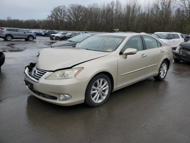 2011 Lexus ES 350