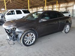 Salvage cars for sale from Copart Phoenix, AZ: 2016 Volkswagen EOS Komfort