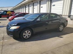 Salvage cars for sale at Louisville, KY auction: 2009 Toyota Camry SE