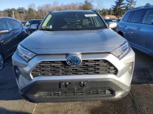 2019 Toyota Rav4 XLE