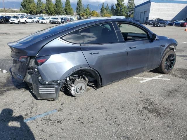 2020 Tesla Model Y