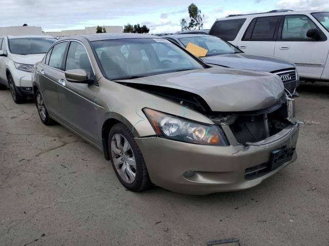 2009 Honda Accord EXL