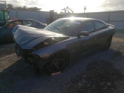 Salvage cars for sale from Copart Kapolei, HI: 2014 Dodge Charger R/T