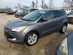 Salvage cars for sale at Bridgeton, MO auction: 2014 Ford Escape SE