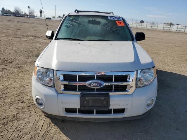 2011 Ford Escape XLT