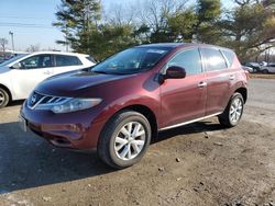 Salvage cars for sale at Lexington, KY auction: 2011 Nissan Murano S