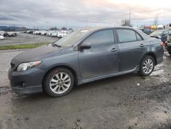 Toyota salvage cars for sale: 2010 Toyota Corolla Base