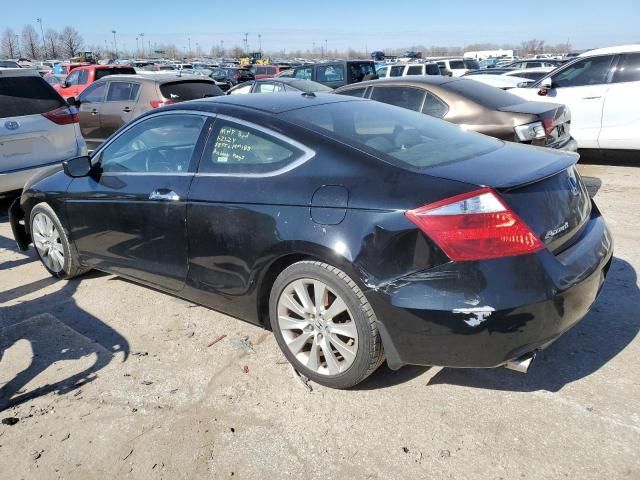 2008 Honda Accord EXL