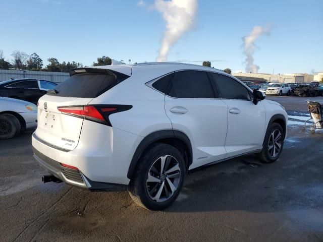 2020 Lexus NX 300H