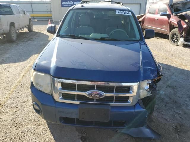 2008 Ford Escape XLT