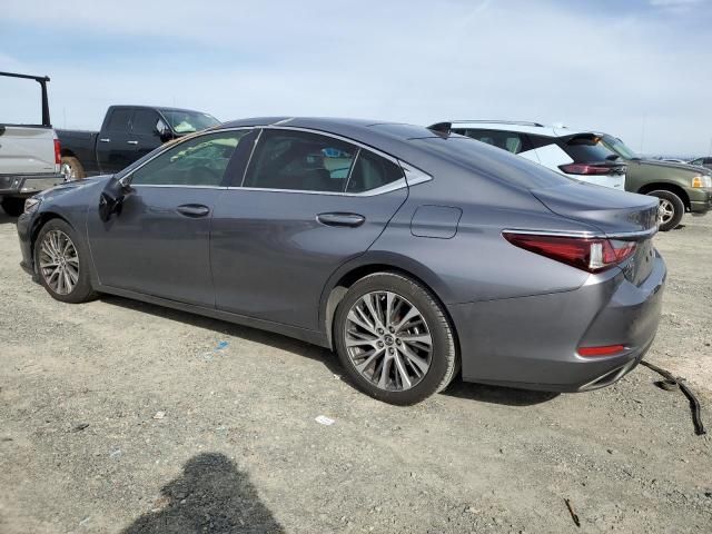 2019 Lexus ES 350