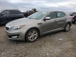 Salvage cars for sale from Copart Earlington, KY: 2013 KIA Optima EX