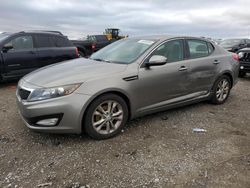 Salvage cars for sale at Earlington, KY auction: 2013 KIA Optima EX