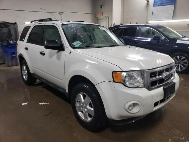 2009 Ford Escape XLT