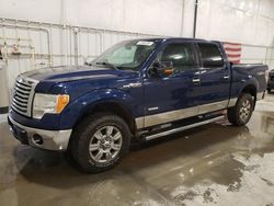 Vehiculos salvage en venta de Copart Avon, MN: 2011 Ford F150 Supercrew