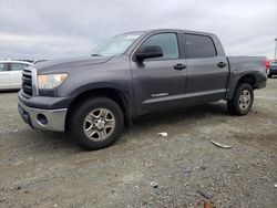 Toyota salvage cars for sale: 2012 Toyota Tundra Crewmax SR5