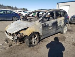 Salvage cars for sale at Windham, ME auction: 2013 Ford Escape SE