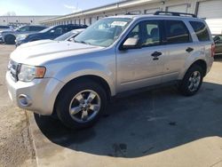 Salvage cars for sale at Louisville, KY auction: 2012 Ford Escape XLT