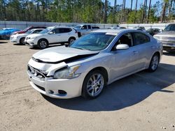 2011 Nissan Maxima S for sale in Harleyville, SC