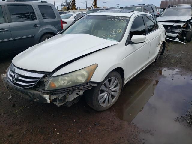 2011 Honda Accord EXL