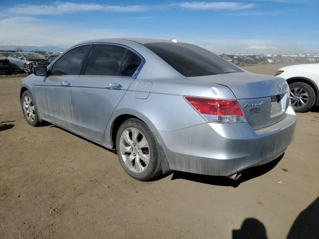 2010 Honda Accord EXL