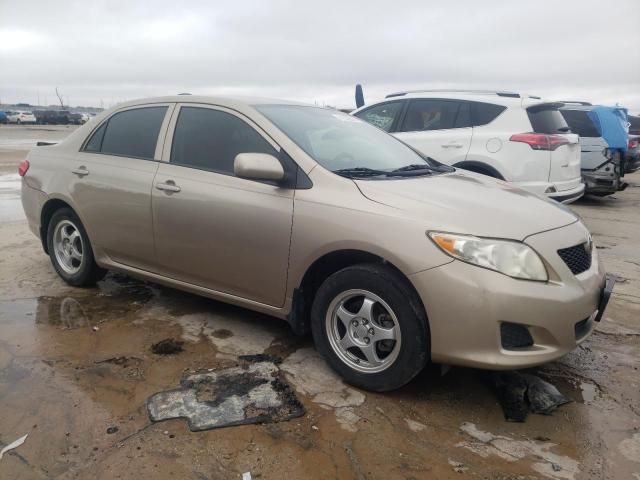 2009 Toyota Corolla Base