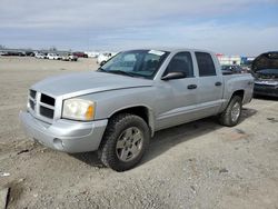 Vehiculos salvage en venta de Copart Earlington, KY: 2006 Dodge Dakota Quad SLT