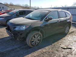 Honda CR-V EX salvage cars for sale: 2014 Honda CR-V EX