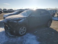 Salvage cars for sale at Indianapolis, IN auction: 2023 Hyundai Kona SEL