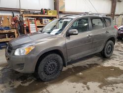 Salvage cars for sale at Nisku, AB auction: 2010 Toyota Rav4