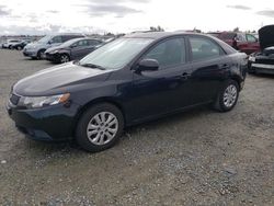 KIA Forte EX salvage cars for sale: 2013 KIA Forte EX