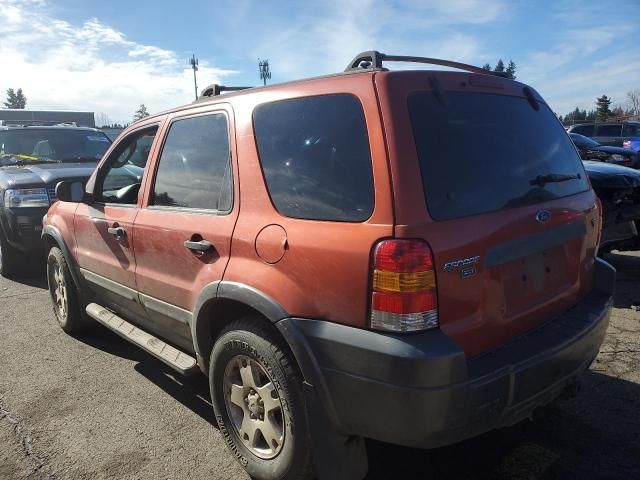 2006 Ford Escape XLT