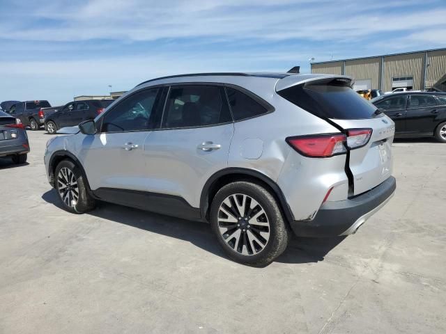 2020 Ford Escape SE Sport