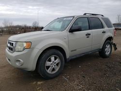 Salvage cars for sale at Columbia Station, OH auction: 2008 Ford Escape XLT