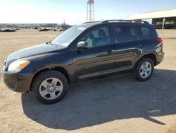Salvage cars for sale at Phoenix, AZ auction: 2012 Toyota Rav4