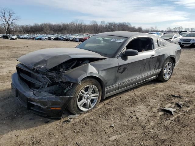 2014 Ford Mustang