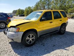 Salvage cars for sale from Copart Houston, TX: 2001 Ford Escape XLS