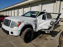 Salvage trucks for sale at Louisville, KY auction: 2010 Ford F150 Supercrew