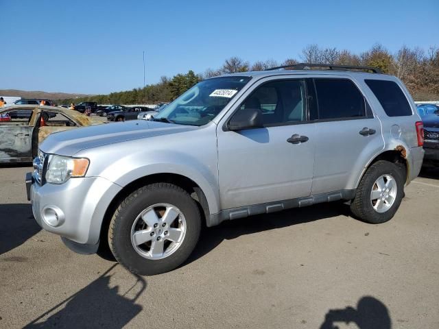 2011 Ford Escape XLS