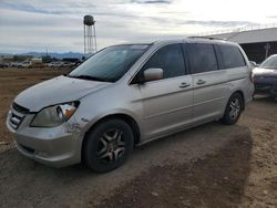 Vehiculos salvage en venta de Copart Phoenix, AZ: 2006 Honda Odyssey EXL