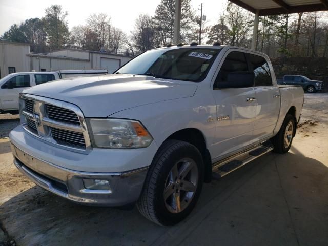 2010 Dodge RAM 1500