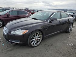 2011 Jaguar XF Premium for sale in Cahokia Heights, IL