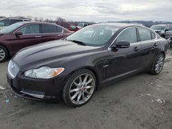 Jaguar XF salvage cars for sale: 2011 Jaguar XF Premium