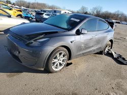 Salvage cars for sale from Copart Glassboro, NJ: 2023 Tesla Model Y