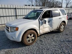 Ford Escape XLT salvage cars for sale: 2010 Ford Escape XLT