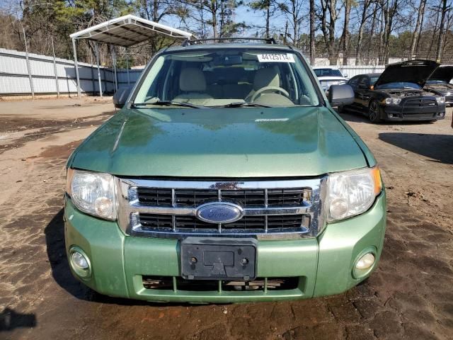 2008 Ford Escape XLT