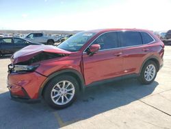 Salvage cars for sale at Grand Prairie, TX auction: 2024 Honda CR-V EX
