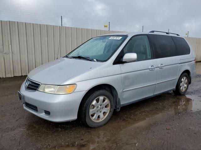 2004 Honda Odyssey EXL