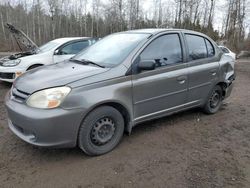 Toyota Echo salvage cars for sale: 2003 Toyota Echo